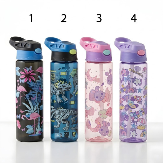 Plastic Bottle 700 ml